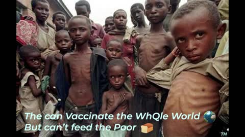 The Real World