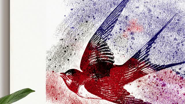 Red Cardinal Bird freedom from Mauritius Poster