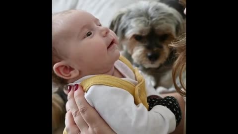 CUTE BABY AND BEST FRIEND DOGGO (TOO CUTE)