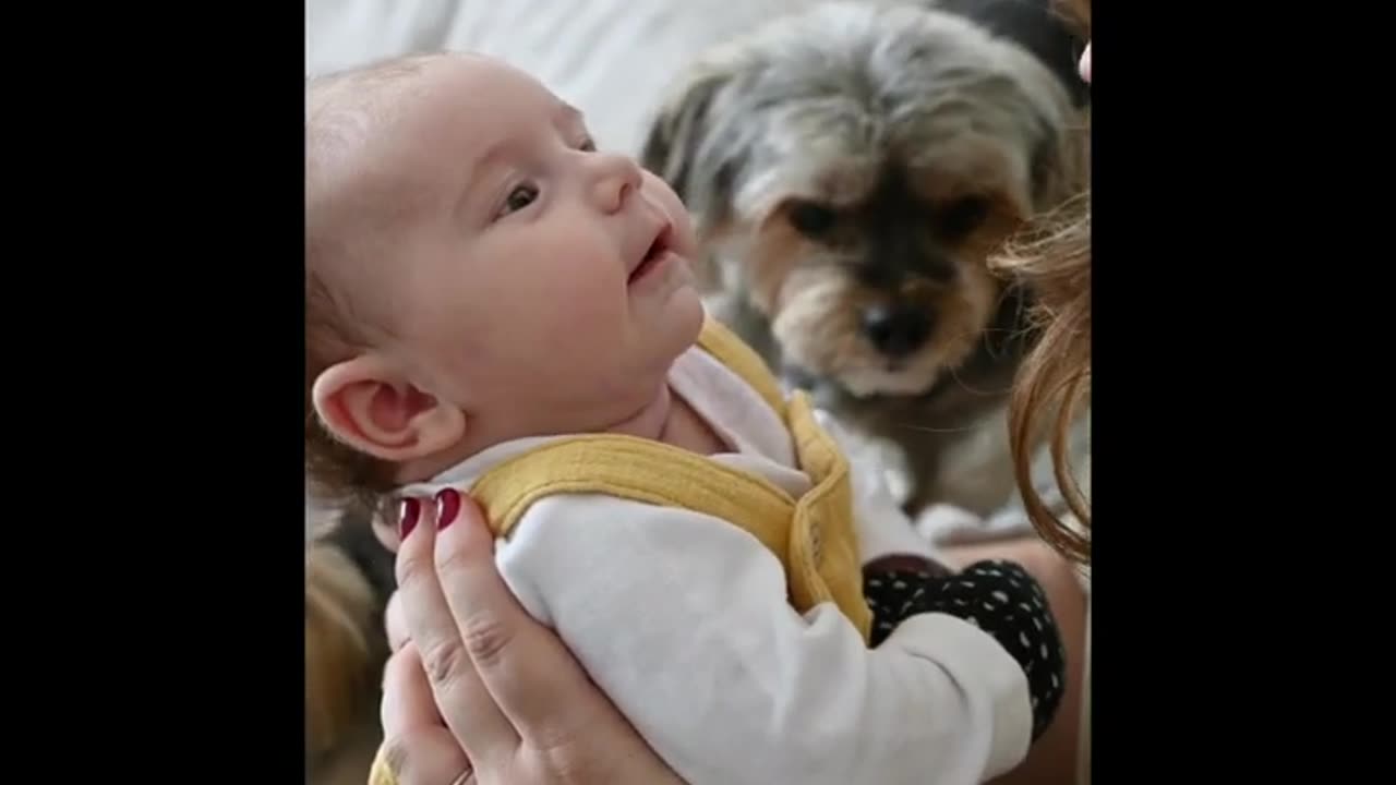 CUTE BABY AND BEST FRIEND DOGGO (TOO CUTE)