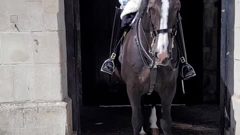 she got away with touching reins #horseguardsparade