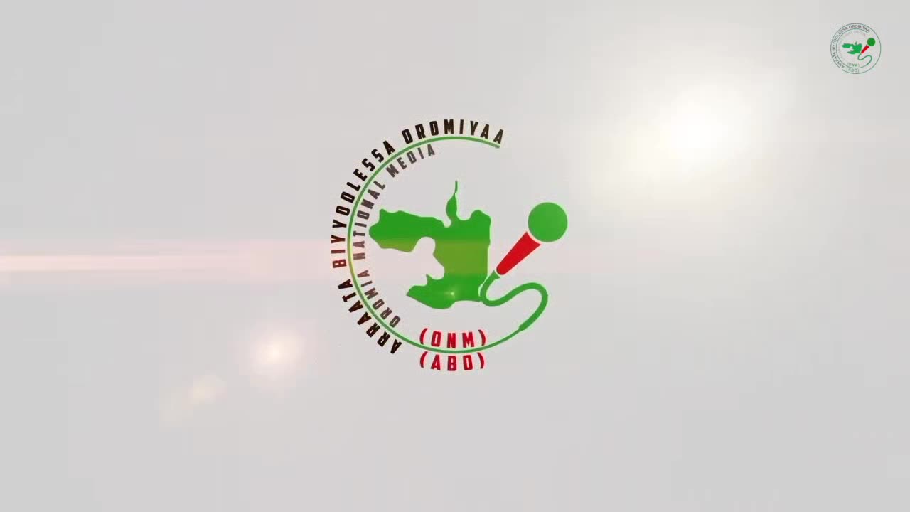 Oduu Waaree ONM-ABO Waxabajjii 11-2024 itti dhiyaadhaa!