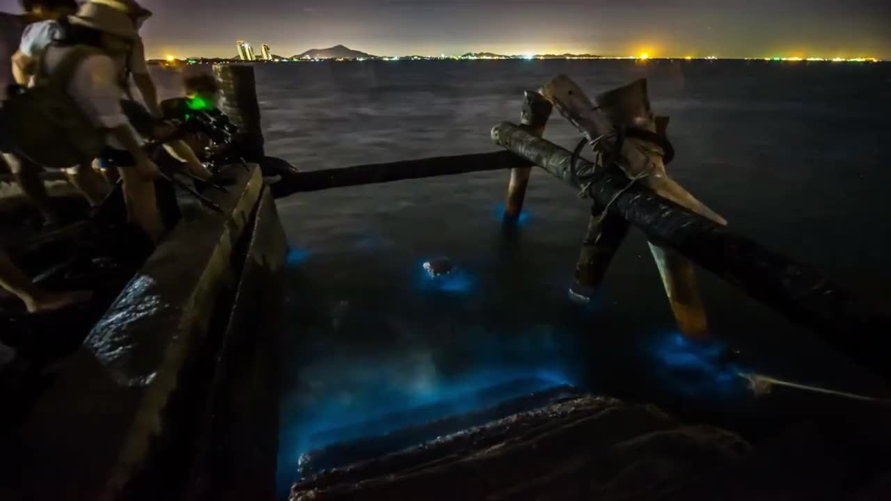 Incredibly rare events that Caught on Camera?