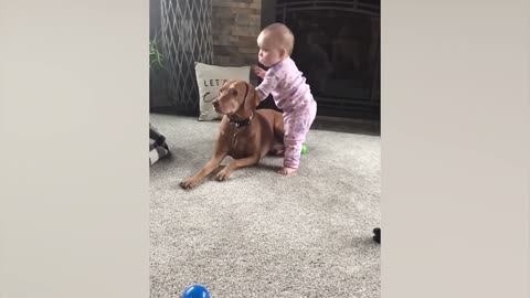 Cute Babies Playing With Dogs Compilation _ Funny Baby And Pets~1