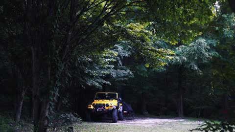 In the hot summer, go to the woods for a delicate camping