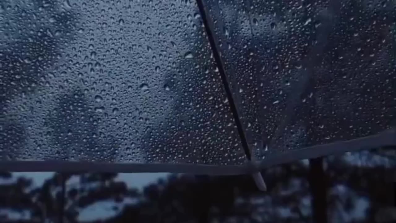 Feel This Vibe ........ Sukooon