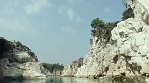 Man vs crocodile fight scene