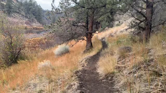 Central Oregon – Steelhead Falls – Fall Foliage