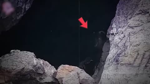 Police Discovered A Hidden Tunnel And Accidentally Found This‼️