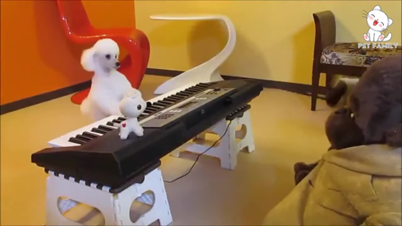 Cute dogs ❤️❤️😘