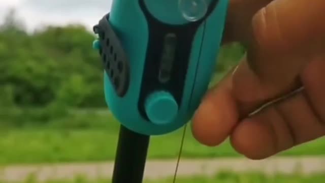 Fishing to get unique and expensive fish species