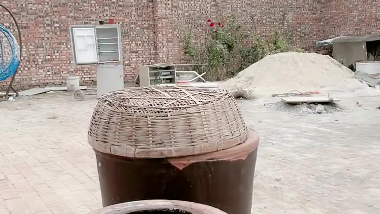 The funny video 2023