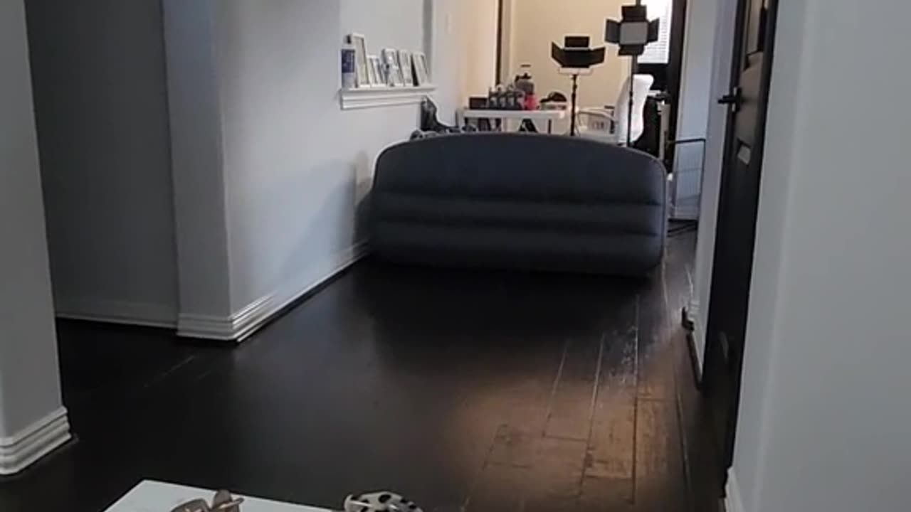 Plotting to sneak up on my dog part 2! 🐶❤️