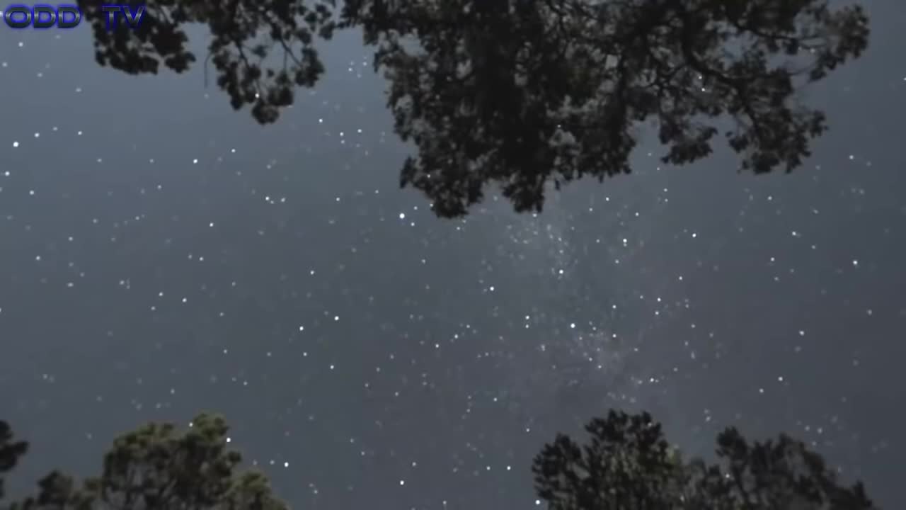 A strangers guide to Flat Earth by ODDTV