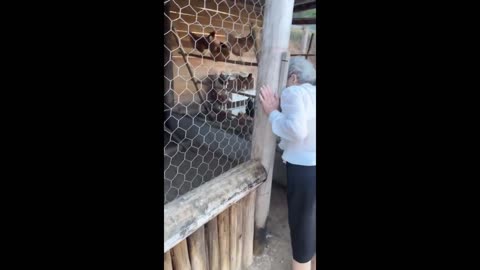 STORIES DA GIZELLY BICALHO 20/05/2024