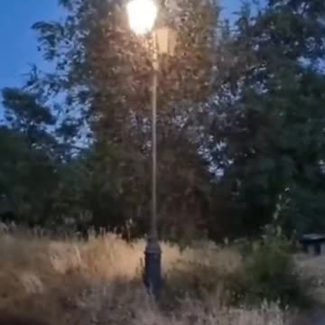 Bills' Babies - 3-15-2024