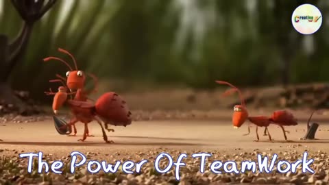 Team work