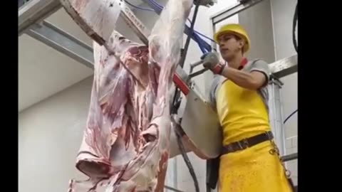 Australia big meat factory workers job