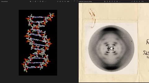 디엔에이DNA 구라 (1080p)