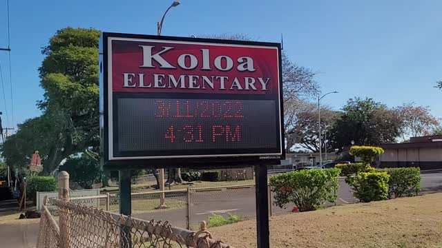 Expand your mind, read a book (The Real Anthony Fauci)