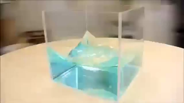 Inertia
