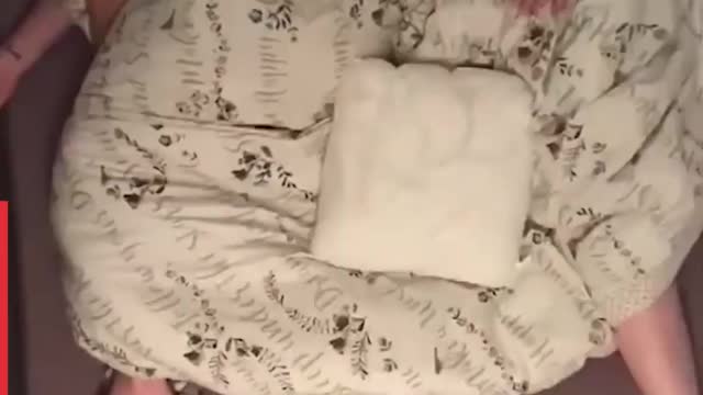 Sleeping With Your Pets