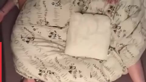 Sleeping With Your Pets