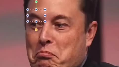 New Tesla Model