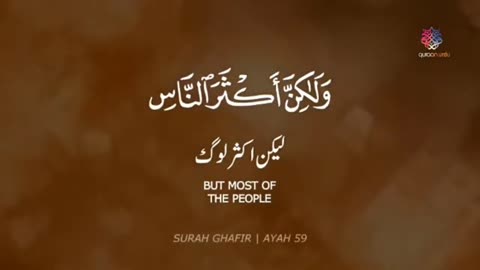 Surah Ghafir _ Ayah 59_ Quran Urdu Whatsapp Status _ Urdu Whatsapp Status _ Urdu