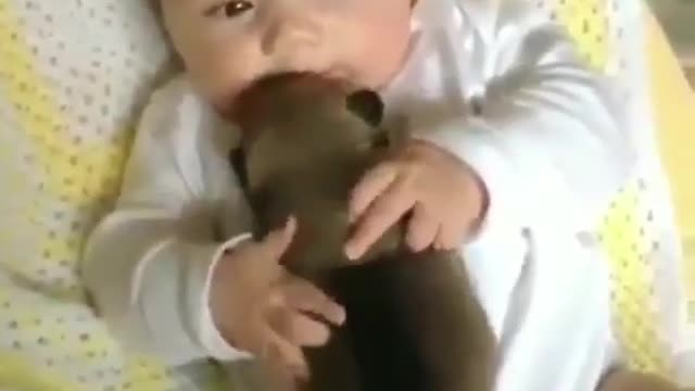 The child and his pet dog
