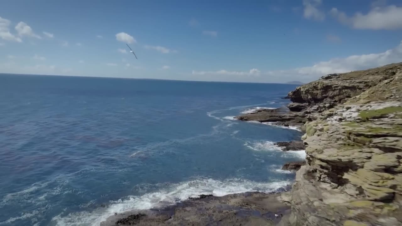 Furious Fifties - Summer in the Wild South Atlantic | Free Documentary Nature