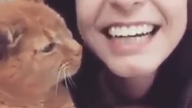 cat kisses girl