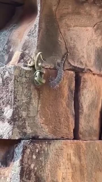 Everybody needs a friend like this