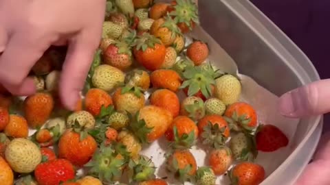 Strawberry Processing