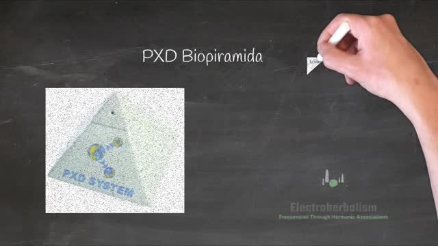 PXD Biopiramida