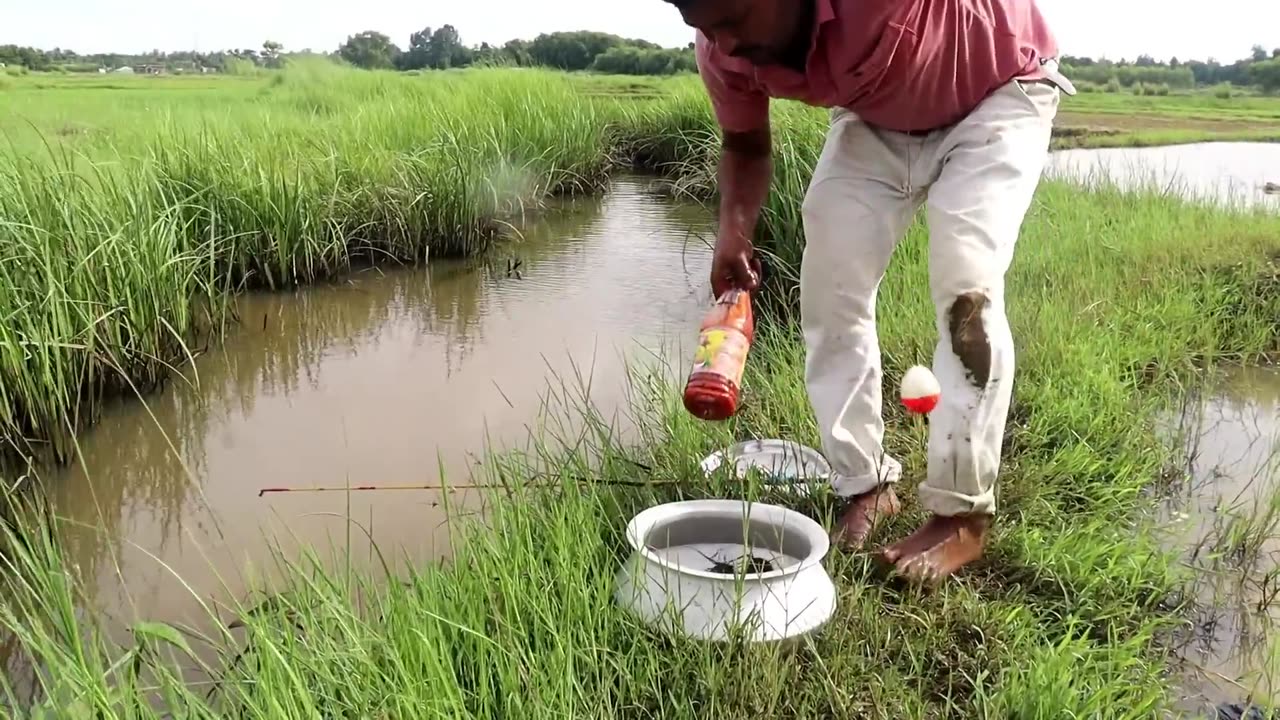 Fishing Video || Skilled boy fishing with a hook in the village canal || Best hook fish...