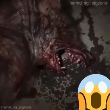 Cross-Species Genetic Bioengineering Just One of Many Evils in the DUMBs