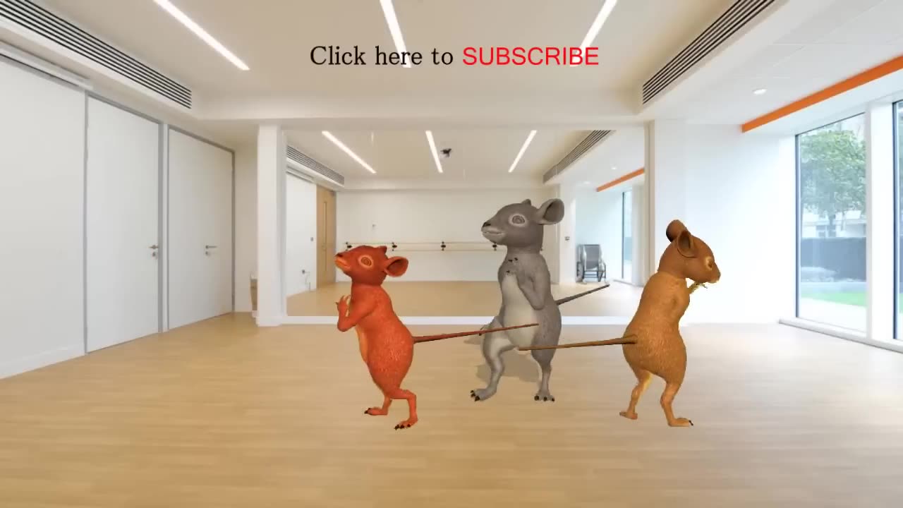 Funny Rat Dance