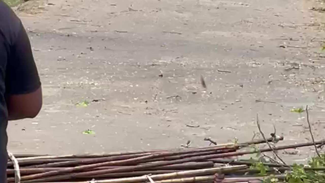 Tornado in Punjab,India