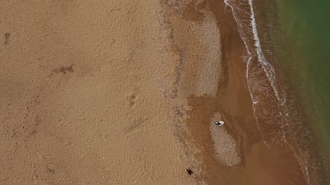 DJI Neo plays with dogs on the beach and crashes...