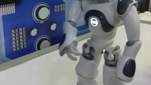 NAO Robot pointed To Me