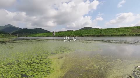 Korean girl fishing