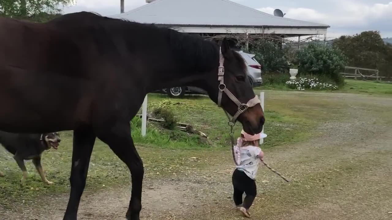 Little Girl Leads Horse