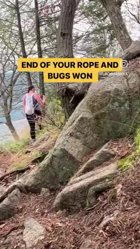 WHEN BUGS HAVE WON