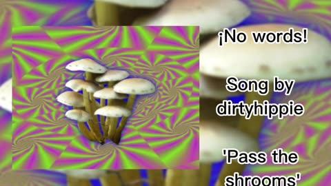 ¡No words! Pass the shrooms