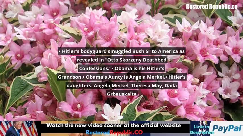 RESTORED REPUBLIC UPDATES 5/3/2022.