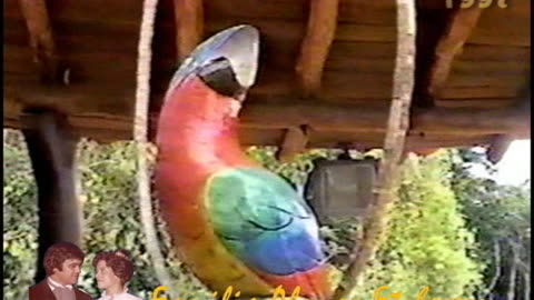 1997 M03 Guacamaya de madera traída del Ecuador