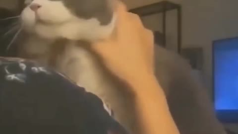 Funny video