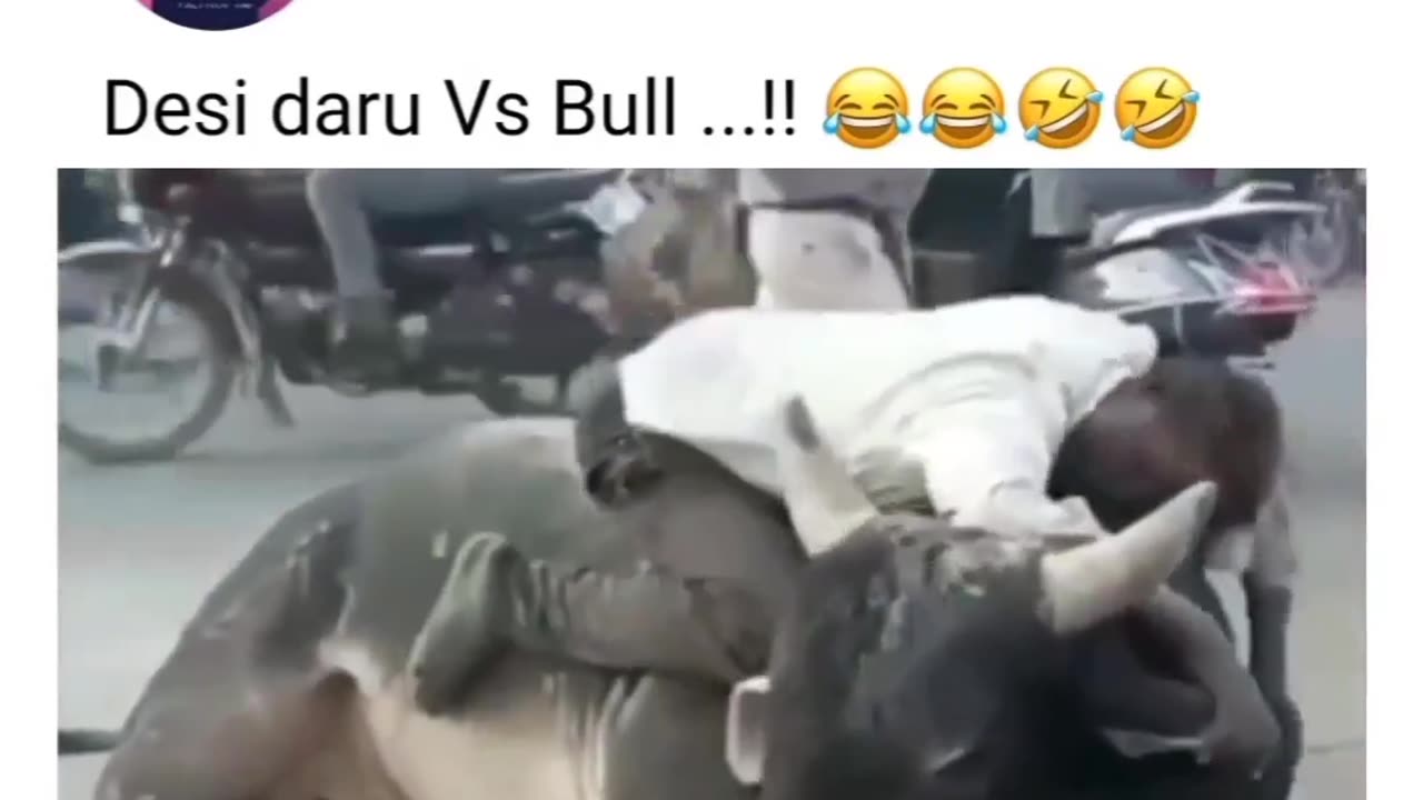 Desi daru Vs Bull ....!!😂😂😂🤣 Funny Video