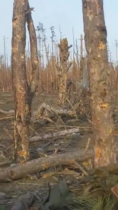 Ukrainian soldier shows the destruction around his trench